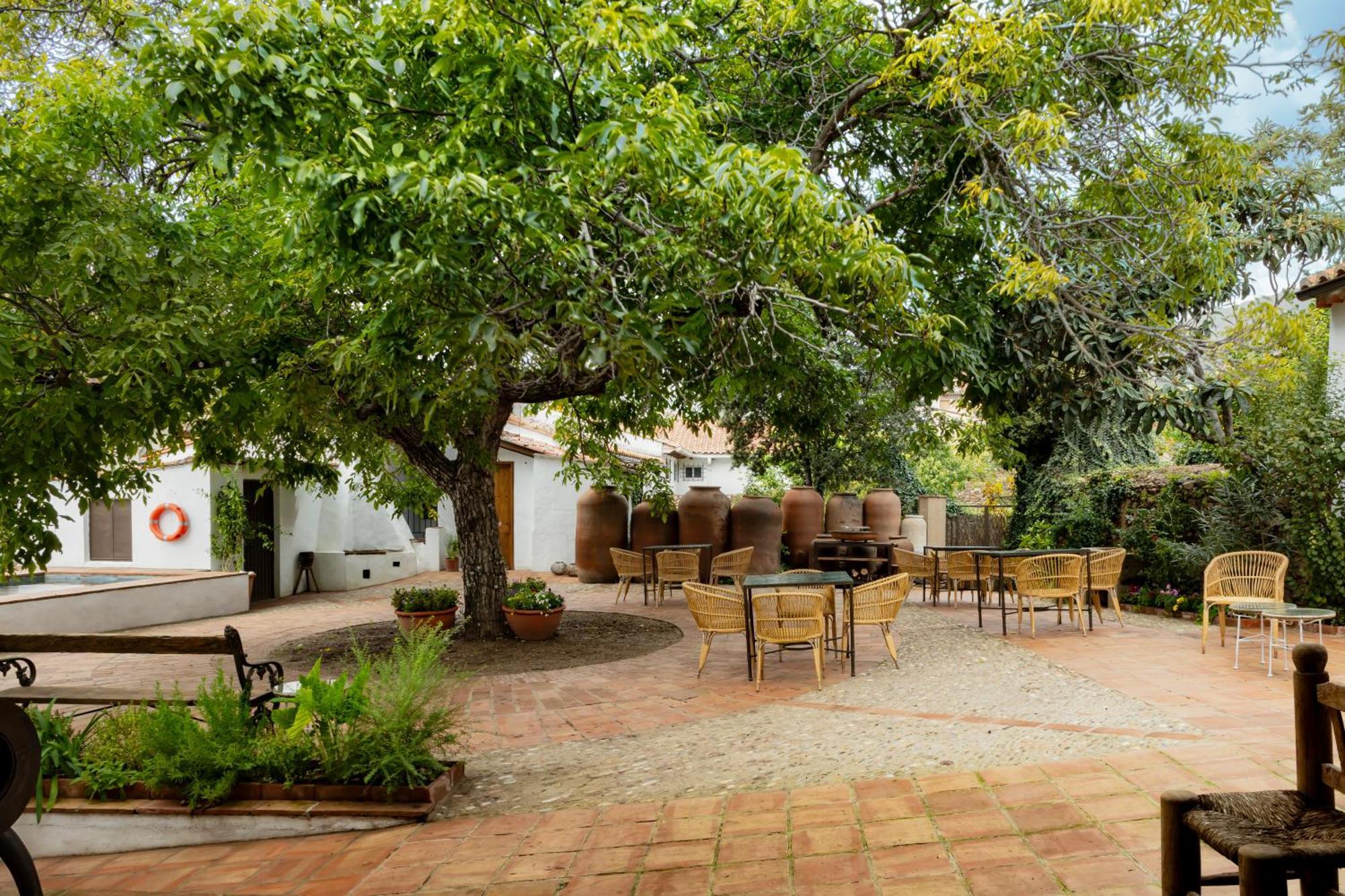 Apartamentos Turisticos El Patio Del Nogal Guadalupe  Dış mekan fotoğraf