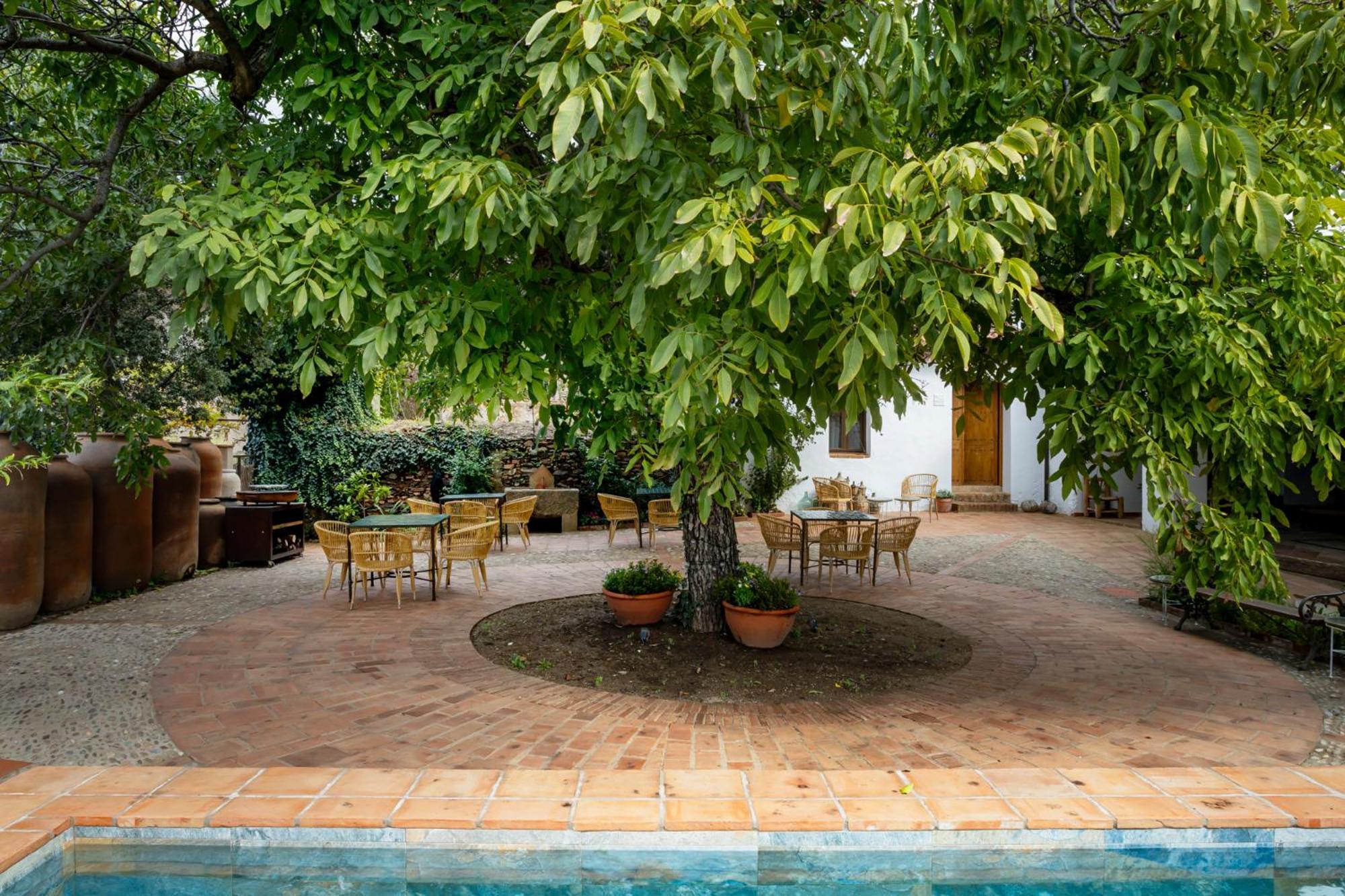 Apartamentos Turisticos El Patio Del Nogal Guadalupe  Dış mekan fotoğraf